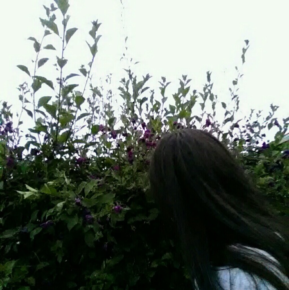 Meet your Posher, Mikha - Picture 2 of 2